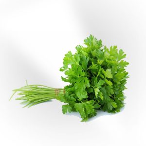 Fresh Coriander