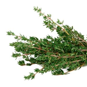 Fresh Thyme