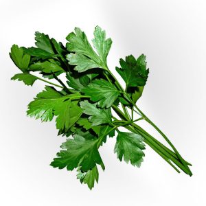 Italian Parsley