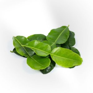 Lime Leaves