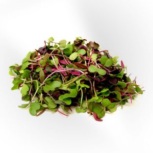 Microgreens - Mixed Microgreens