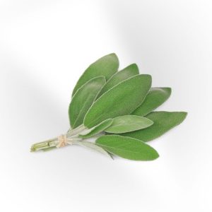 Fresh Sage