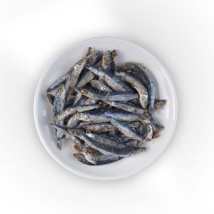 Anchovies - White Anchovies